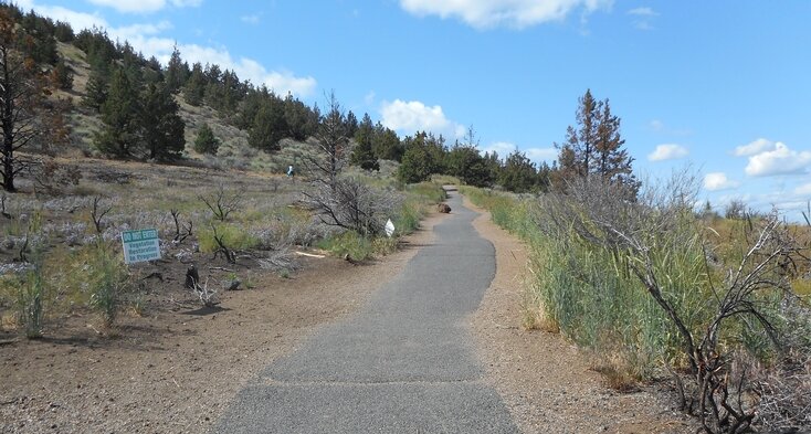Paved Nature Trail winding up Pilot Butte through juniper and restoration areas